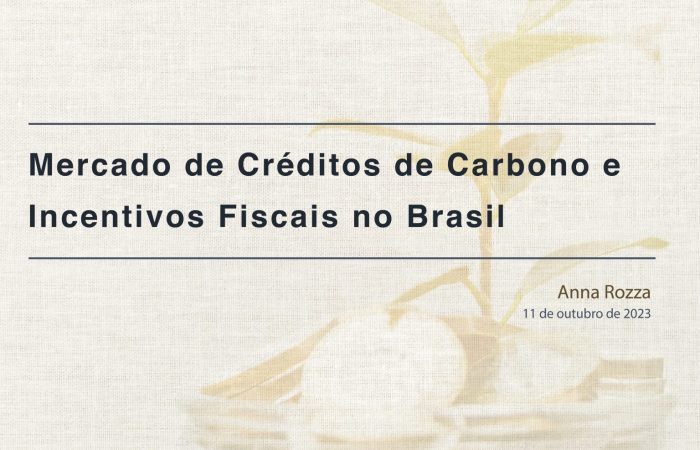 Mercado de Créditos de Carbono e Incentivos Fiscais no Brasil