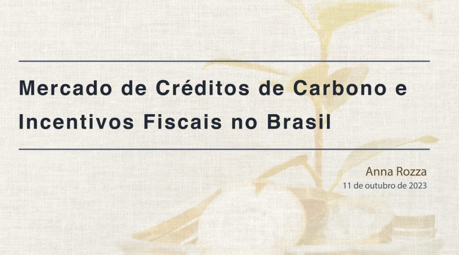 Mercado de Créditos de Carbono e Incentivos Fiscais no Brasil